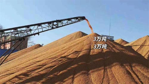 國常會重磅！實(shí)施新一輪千億斤糧食產(chǎn)能提升行動(dòng)